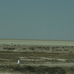 Namibia_434